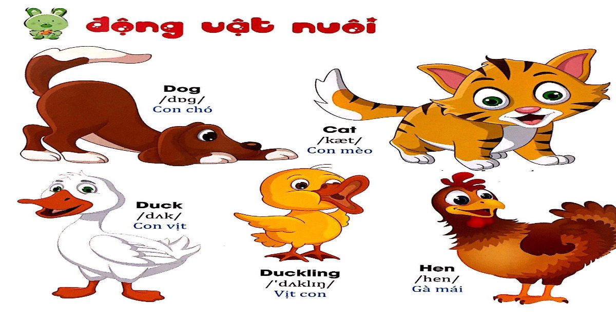 Tịch số lô đề theo các con vật